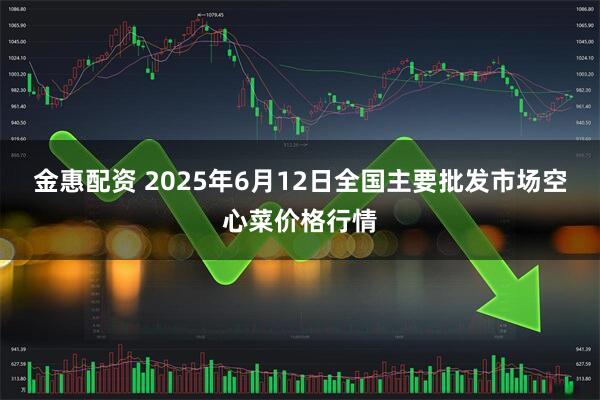 金惠配资 2025年6月12日全国主要批发市场空心菜价格行情