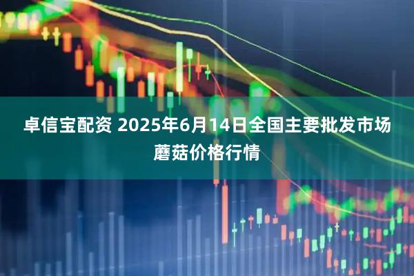 卓信宝配资 2025年6月14日全国主要批发市场蘑菇价格行情