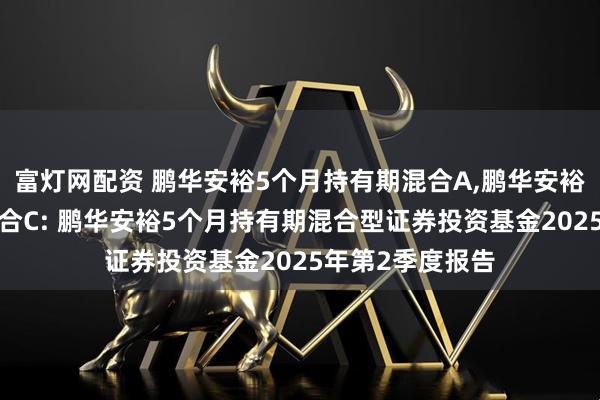 富灯网配资 鹏华安裕5个月持有期混合A,鹏华安裕5个月持有期混合C: 鹏华安裕5个月持有期混合型证券投资基金2025年第2季度报告