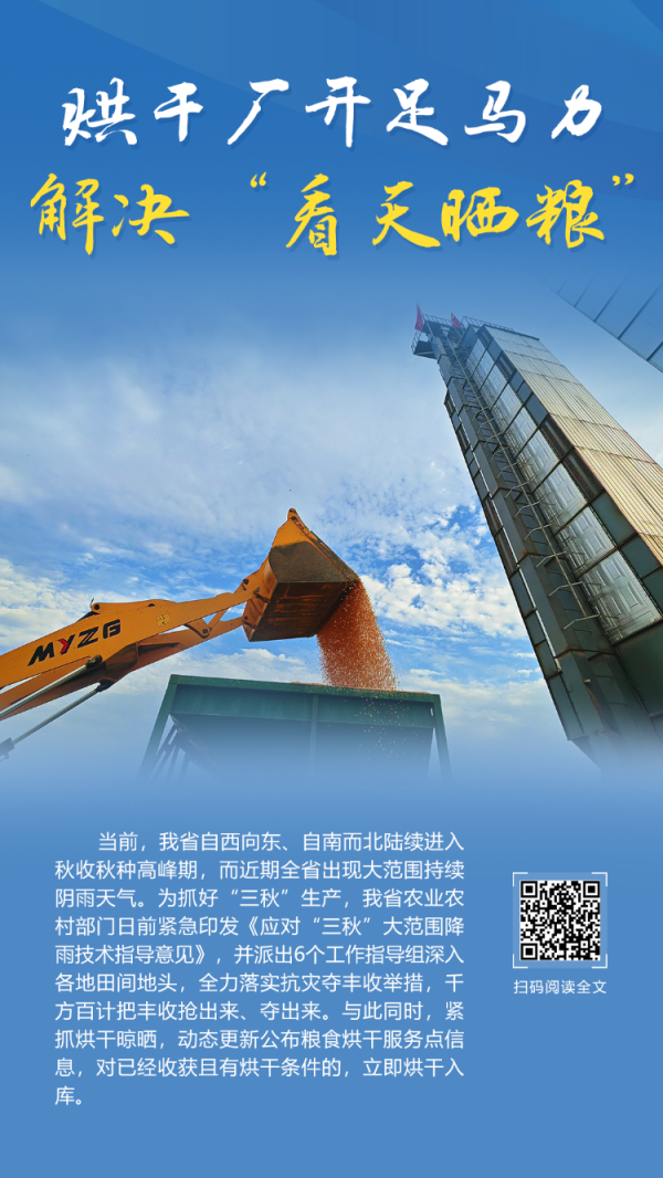 股速查 应对持续阴雨天气，山东积极行动保障“三秋”生产