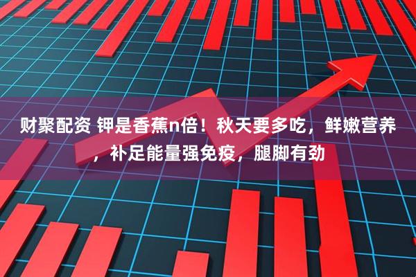 财聚配资 钾是香蕉n倍！秋天要多吃，鲜嫩营养，补足能量强免疫，腿脚有劲